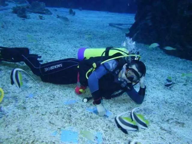 救援海盗章鱼